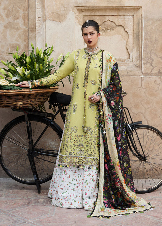 Buy Nirmal Suk | Hussain Rehar